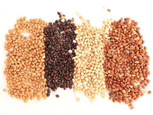 Red millets